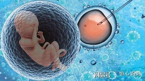 实验室环境
